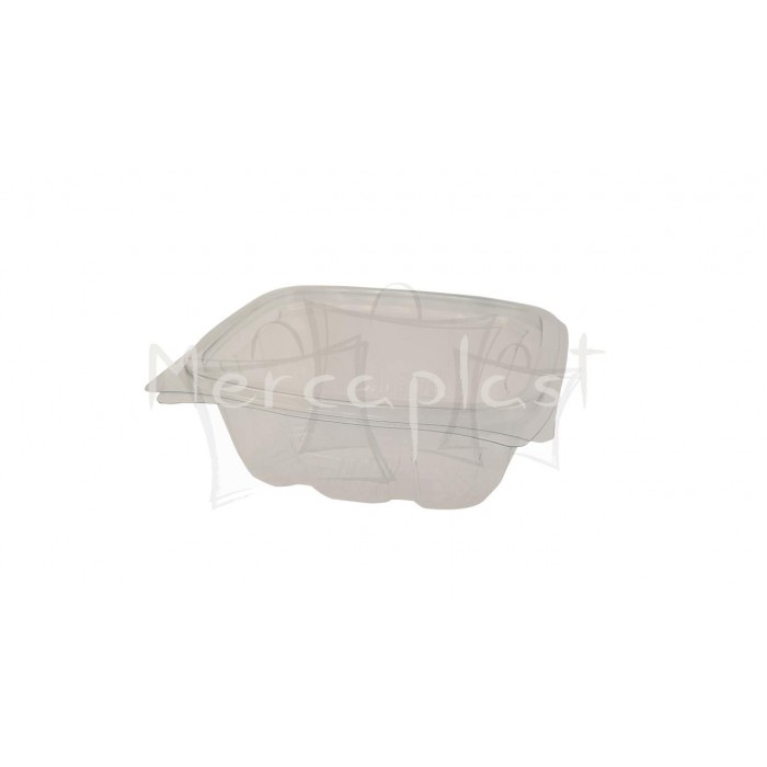 Tarrina bisagra tranp.500 cc.Cx300 und.